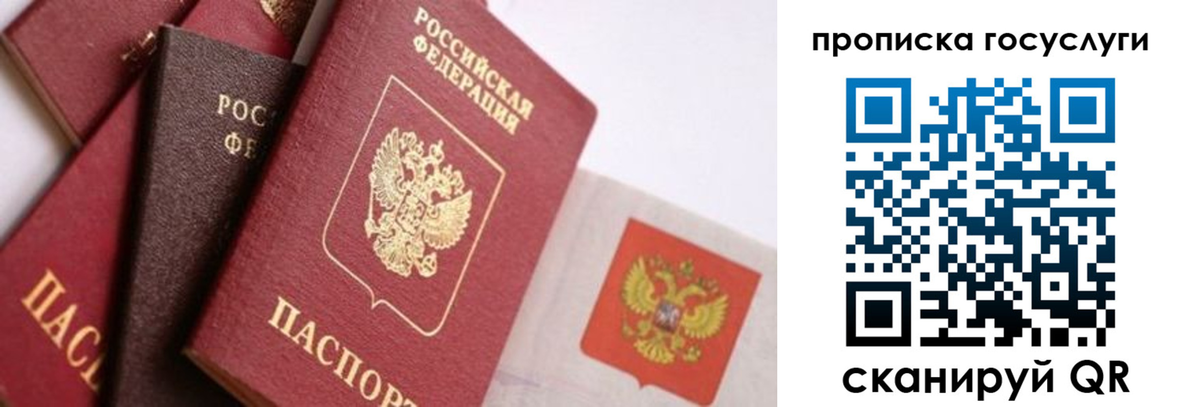 прописка законно в Нытве